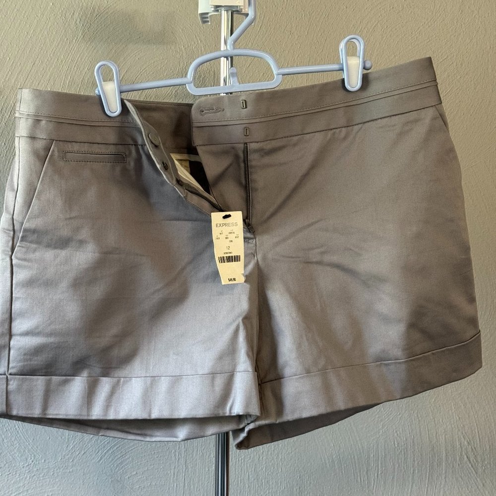 NWT Express Gray Shorts, Size 12